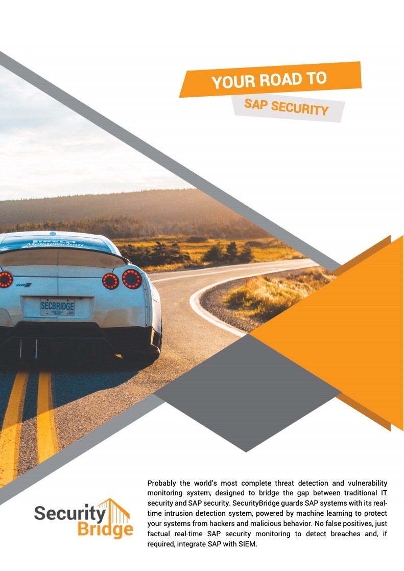 Whitepaper - Your Road to SAP Security