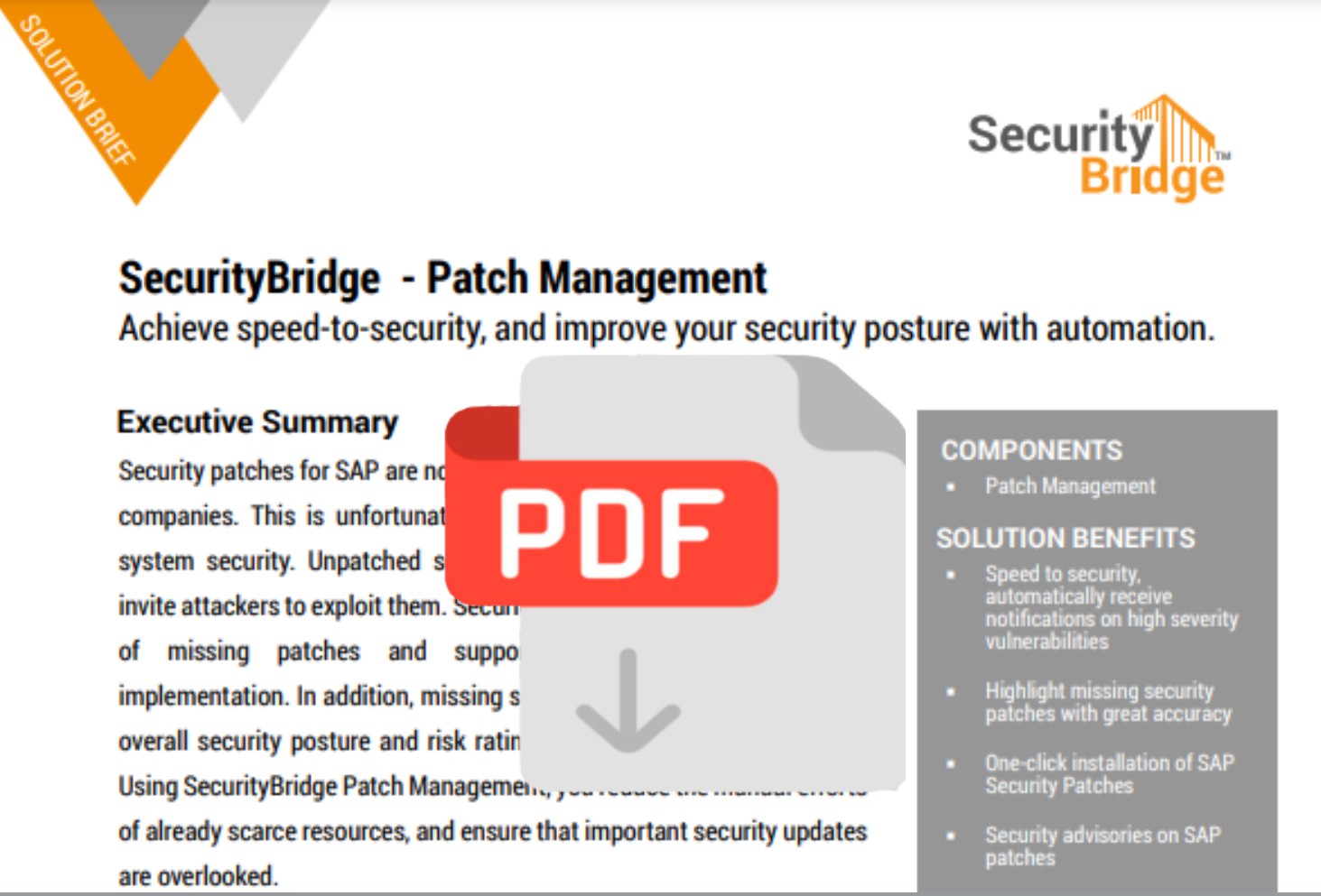 solutions brief patch management