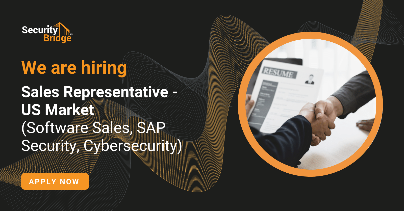 Sales Representative – US Market (Software Sales, SAP Security, Cybersecurity)