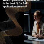 Which cybersecurity framework is the best fit for SAP application security?