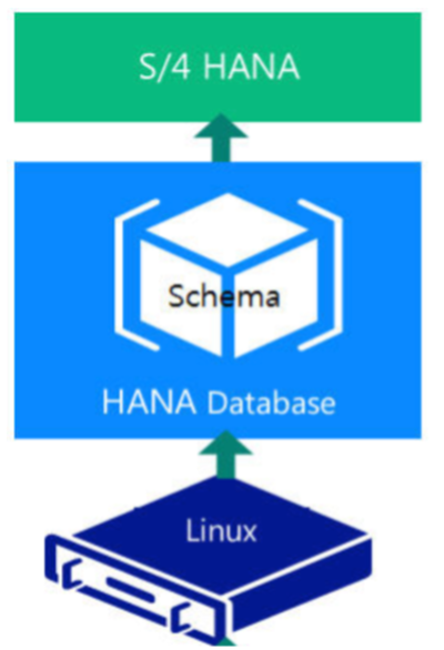 sap system