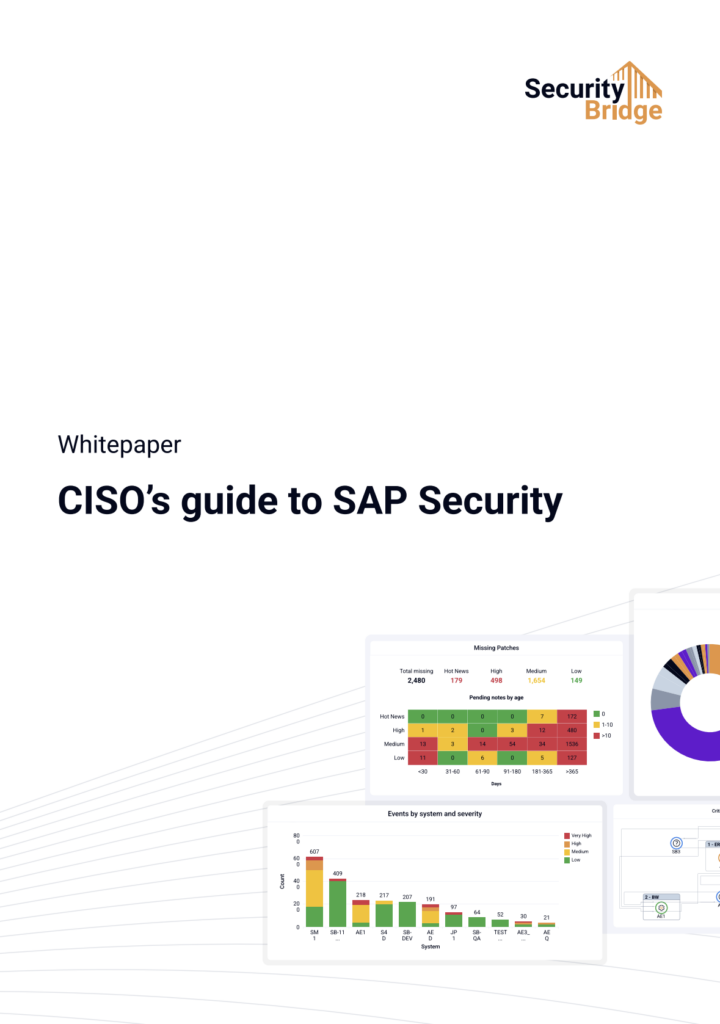 ciso's Guide