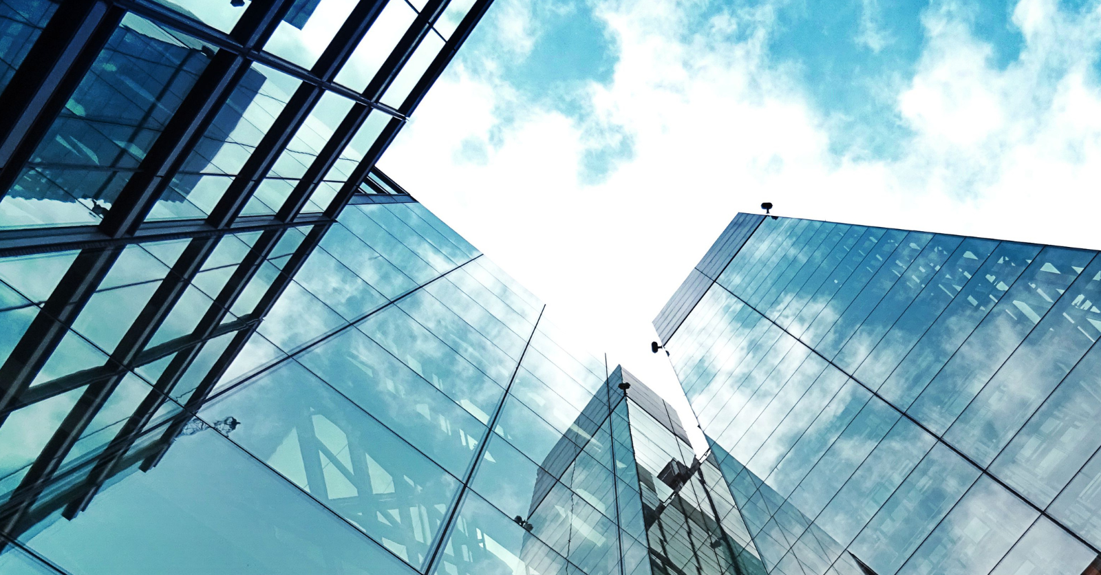 Insurance Industry