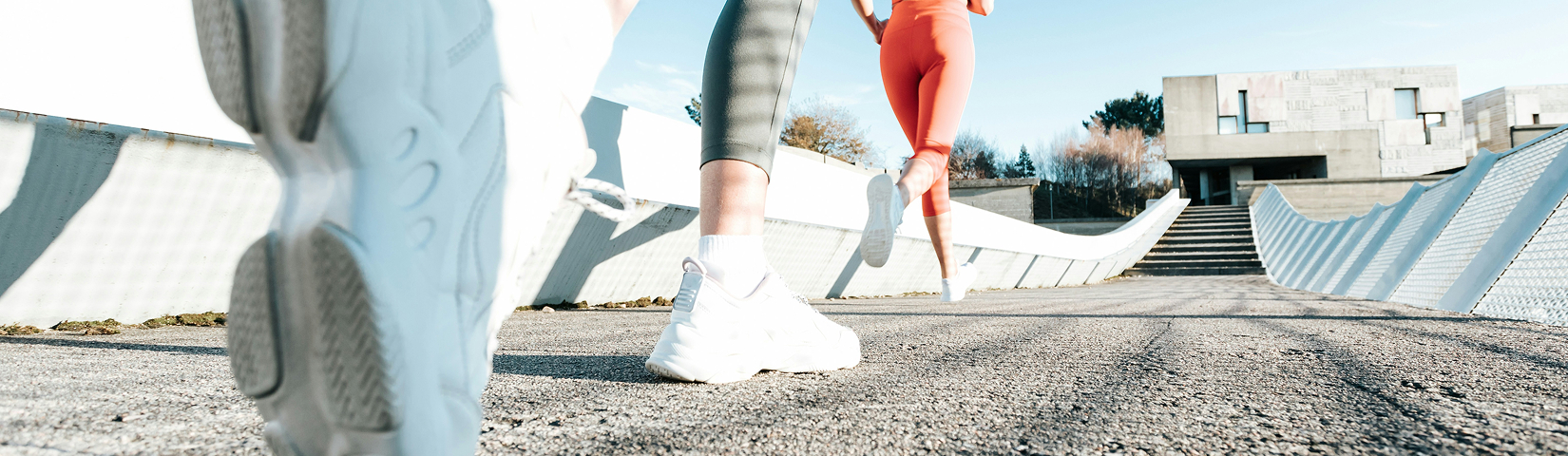 Sport Apparel Article