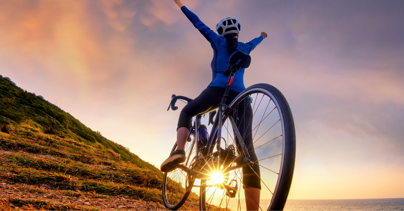 Sport Apparel Industry Case Study