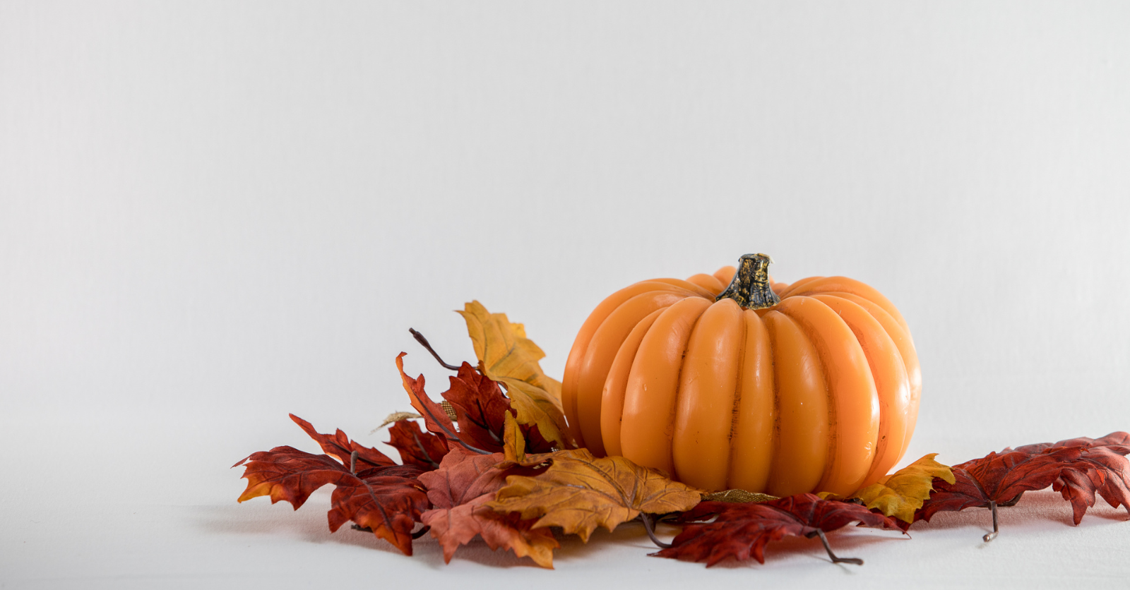 Pumpkin and autumn leaves symbolizing Thanksgiving preparation for securing SAP systems.